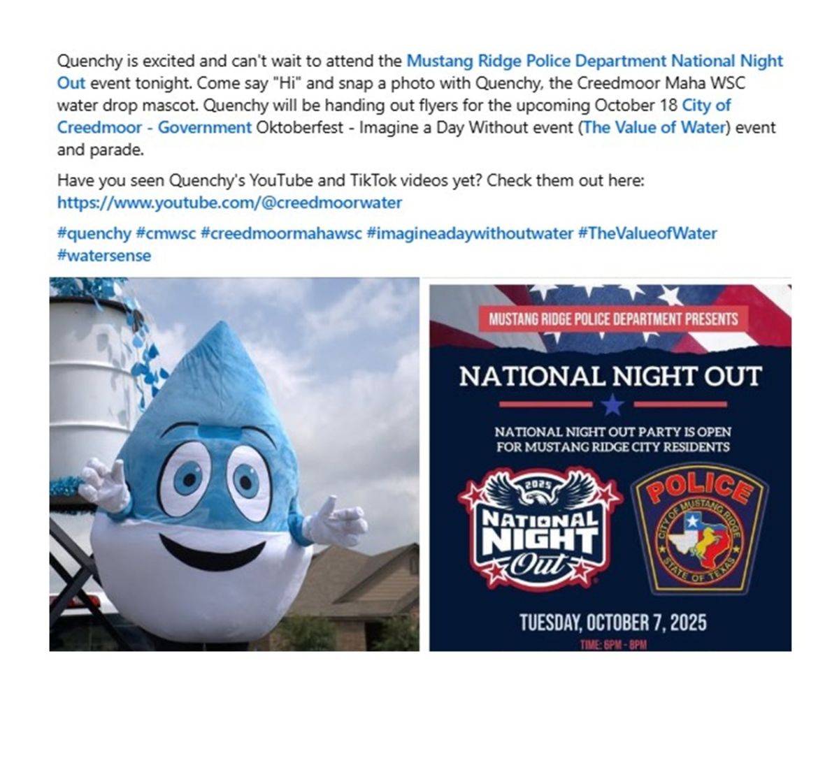 National Night Out - Mustang Ridge